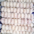 Export quality 4.5cm 5.0cm+,5.5cm+ .6.0cm+ Fresh Normal White Garlic 15KG/20KG/Mesh Bag